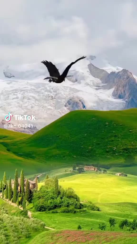 @48... 🇲 🇦 🇭 🇲 🇺 🇹 ...48
