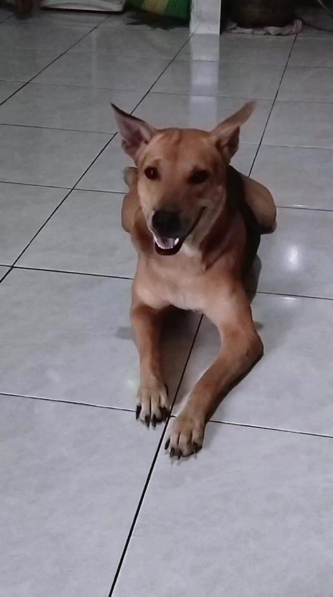 @TORUSMA PASARIBU