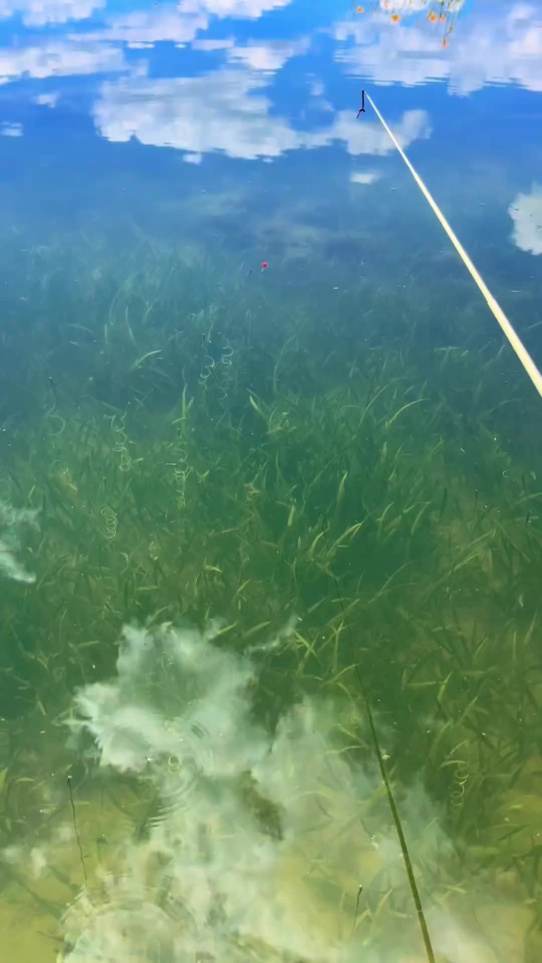 @JFL|UK Micro Fishing