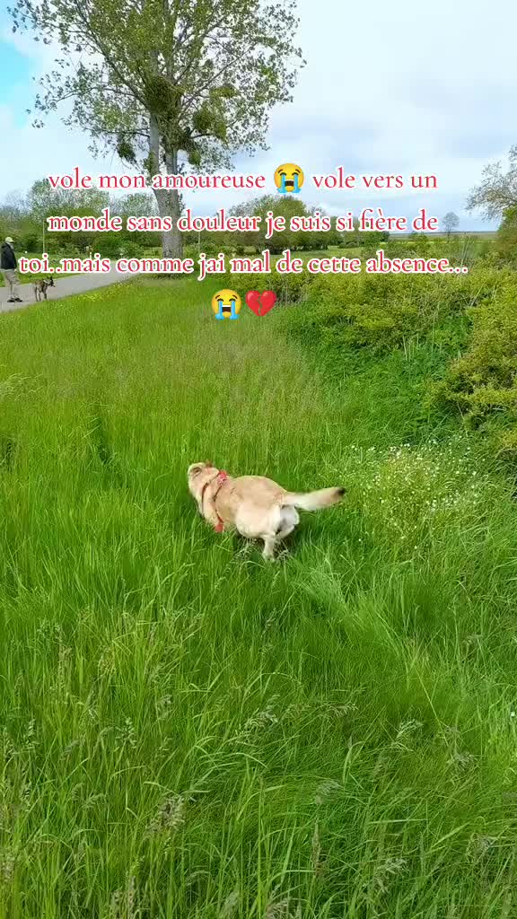 @chouchoulie21