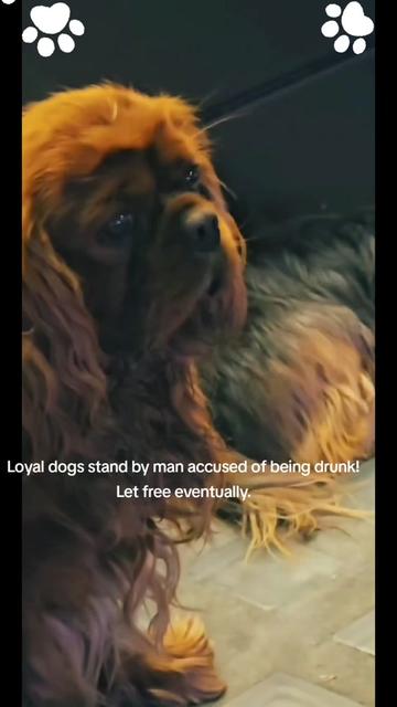 @London News Exposed