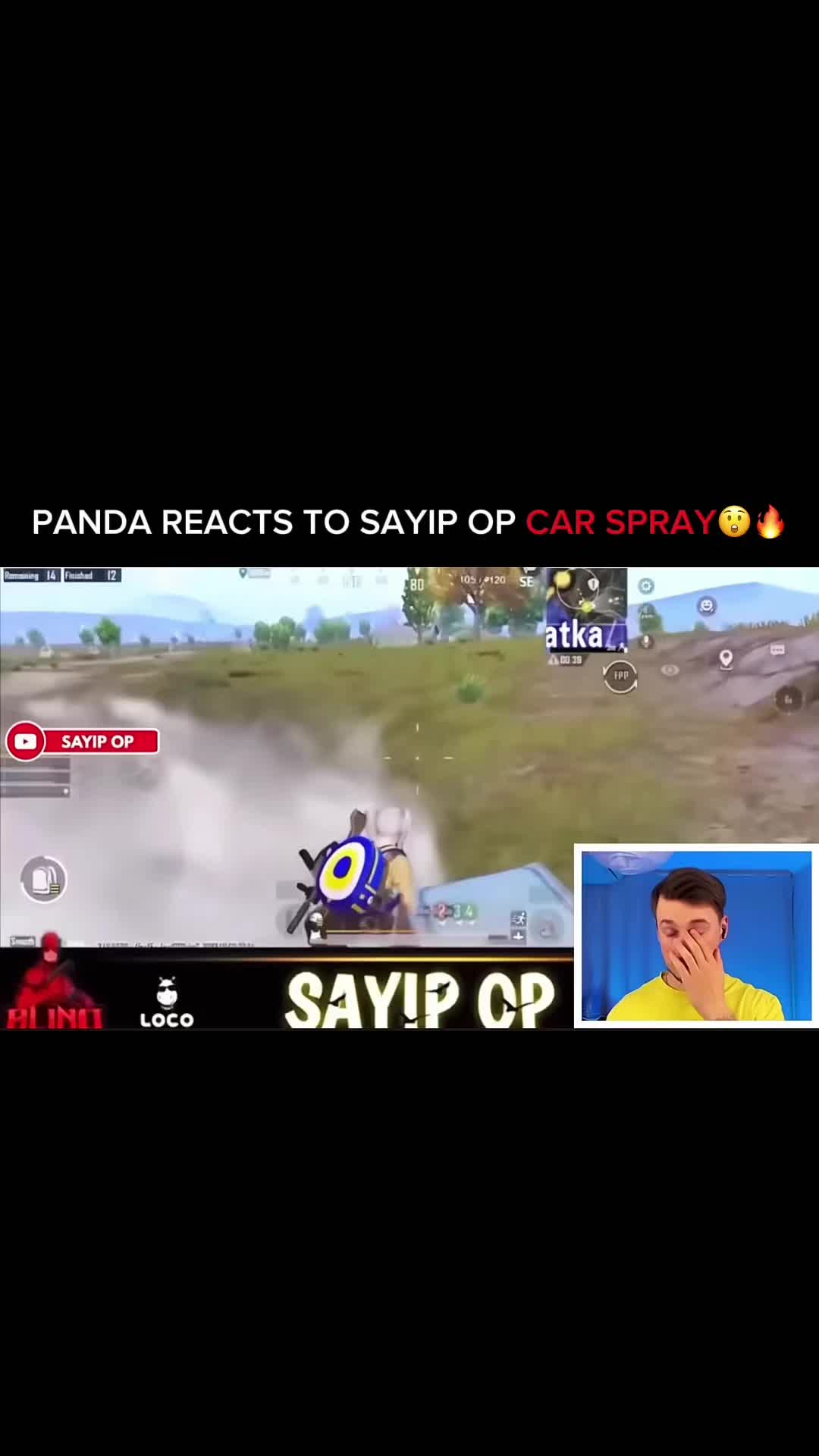 @Panda Clips