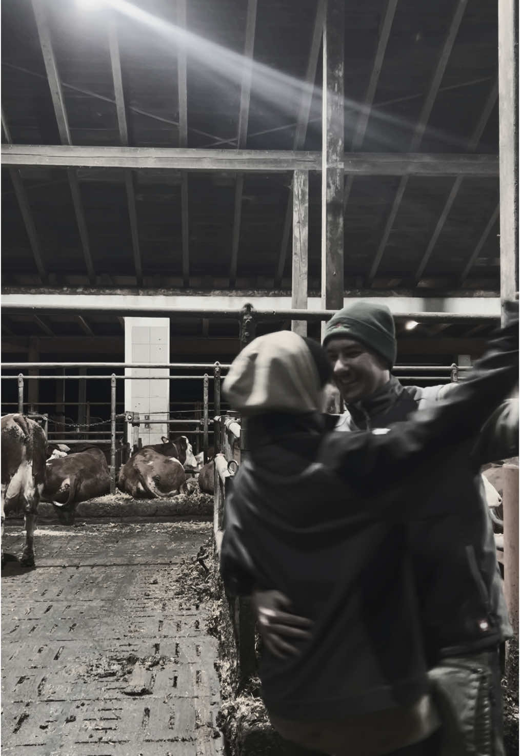 @landwirtschaft.moosbauer