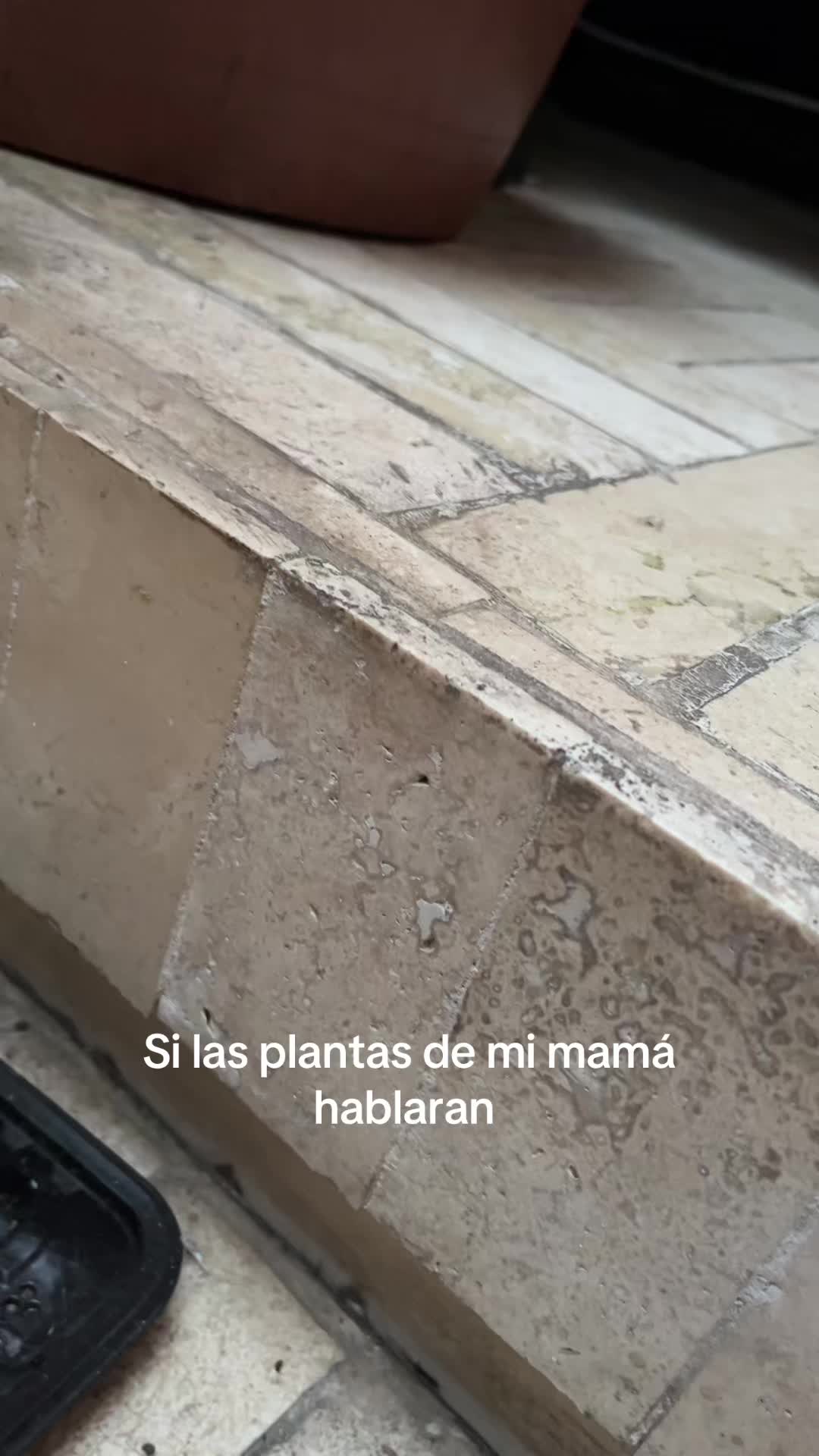 @𝘐𝘷𝘪𝘯𝘪𝘯𝘪𝘥𝘦𝘭 𝘙𝘦𝘺٠࣪⭑