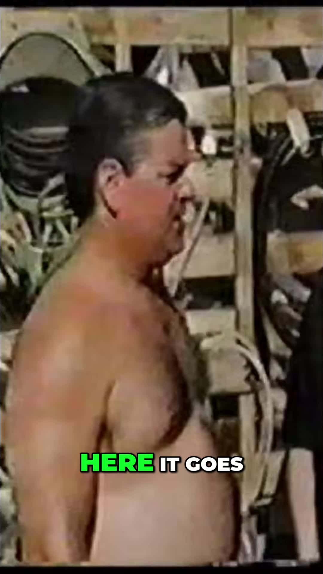 @tpb Fanatics