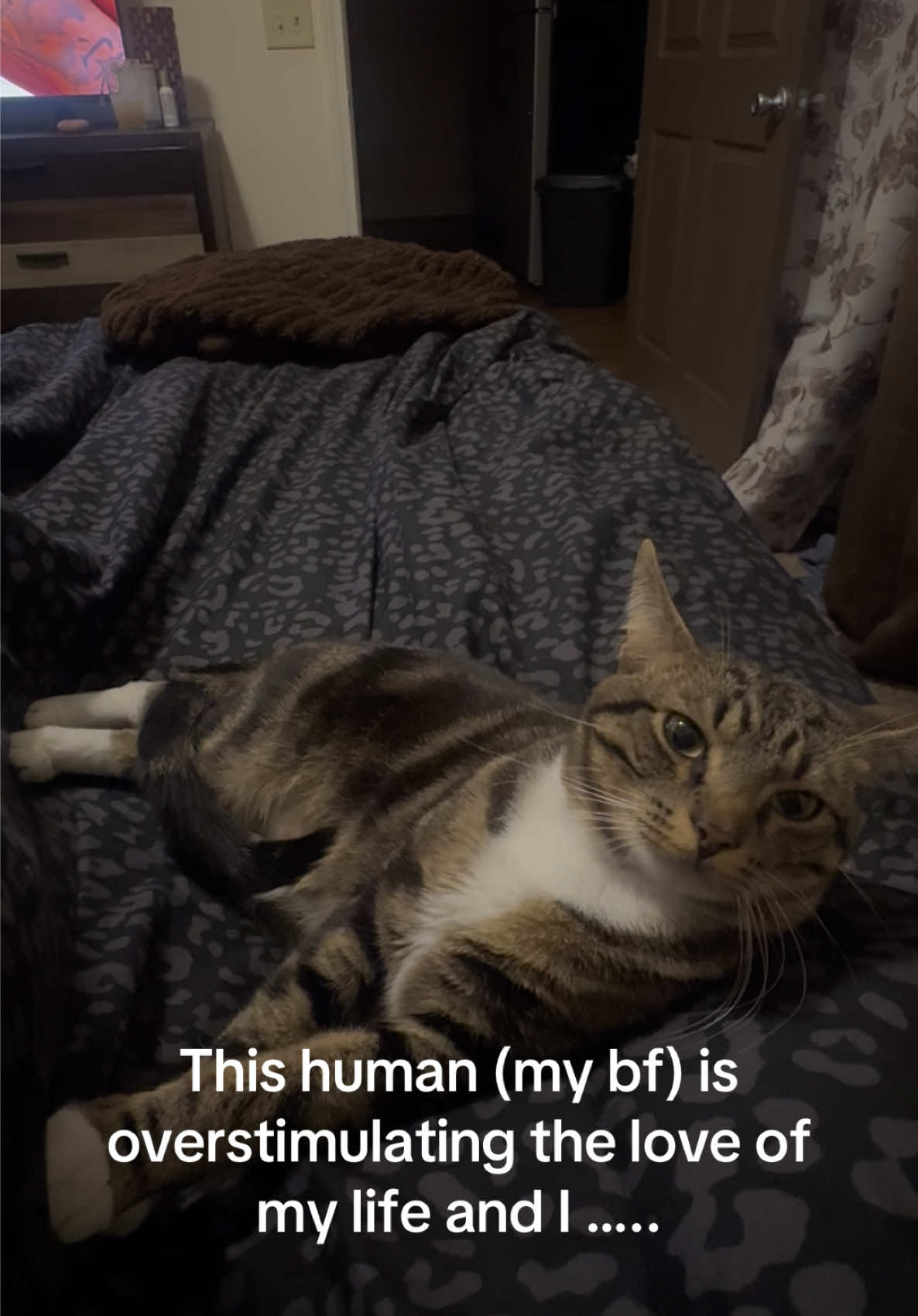 @Taka
