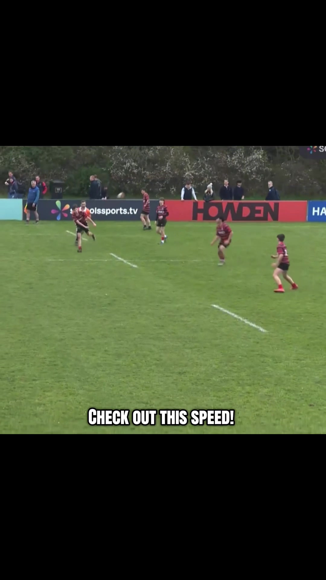 @young_rugby