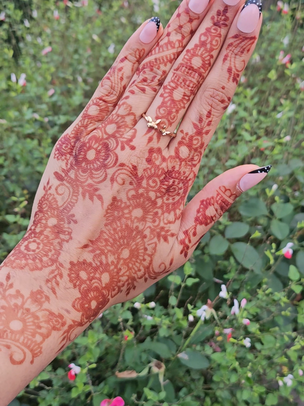 @Palm and Pattern