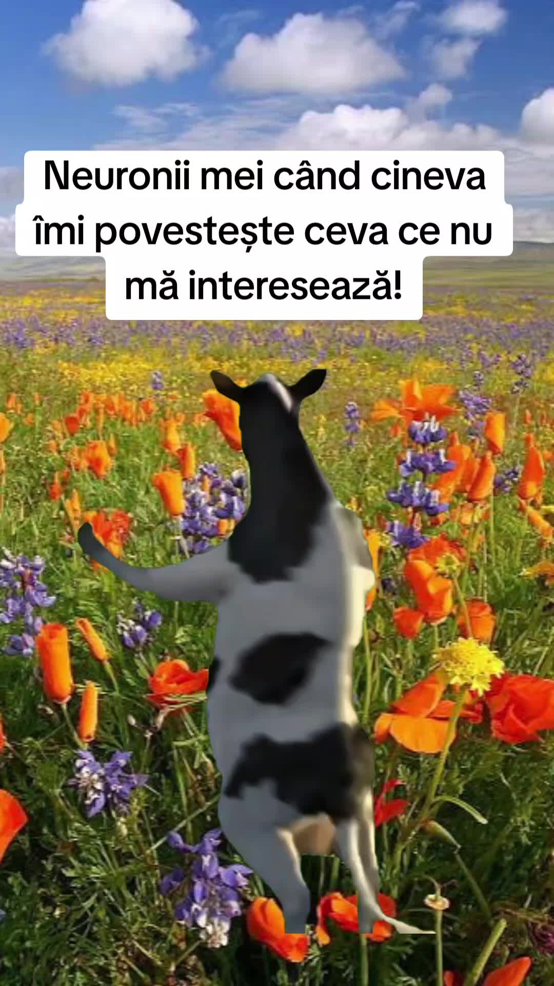 @Ionela Pavel🖤