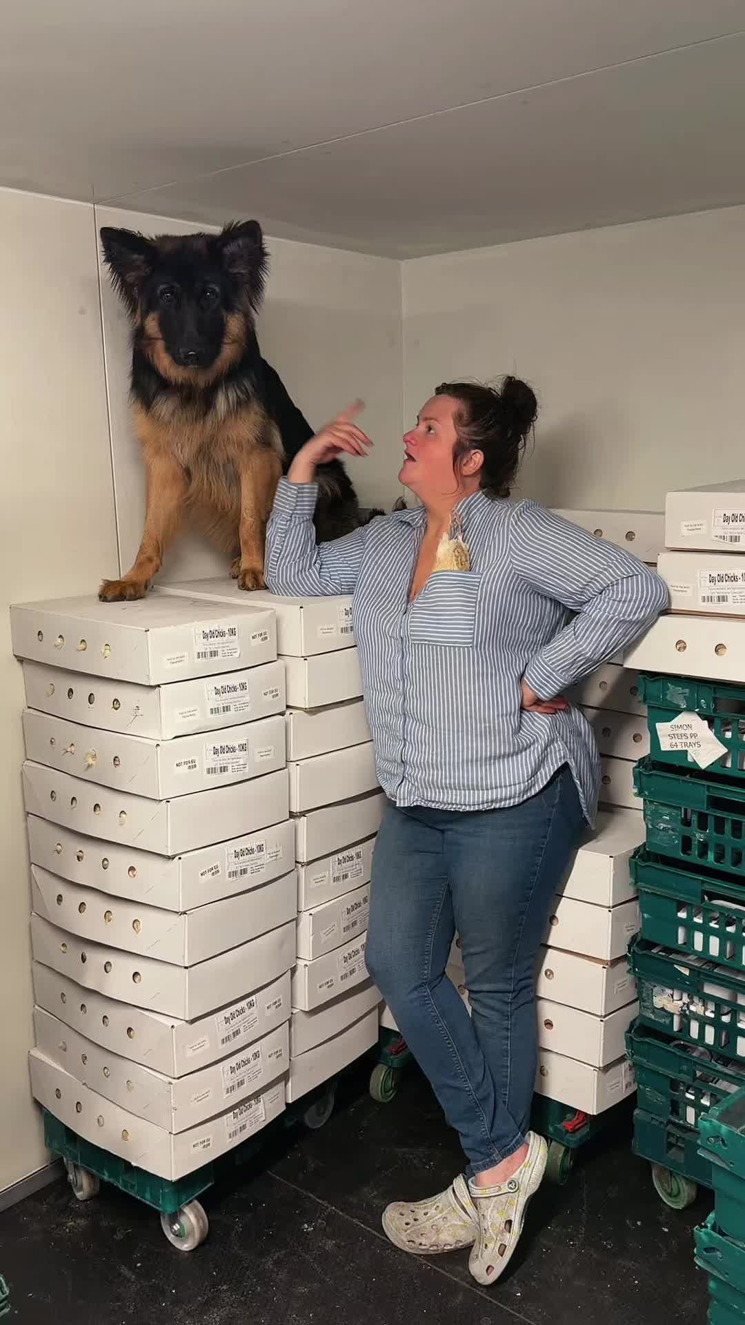 @Stefs Pet Pantry