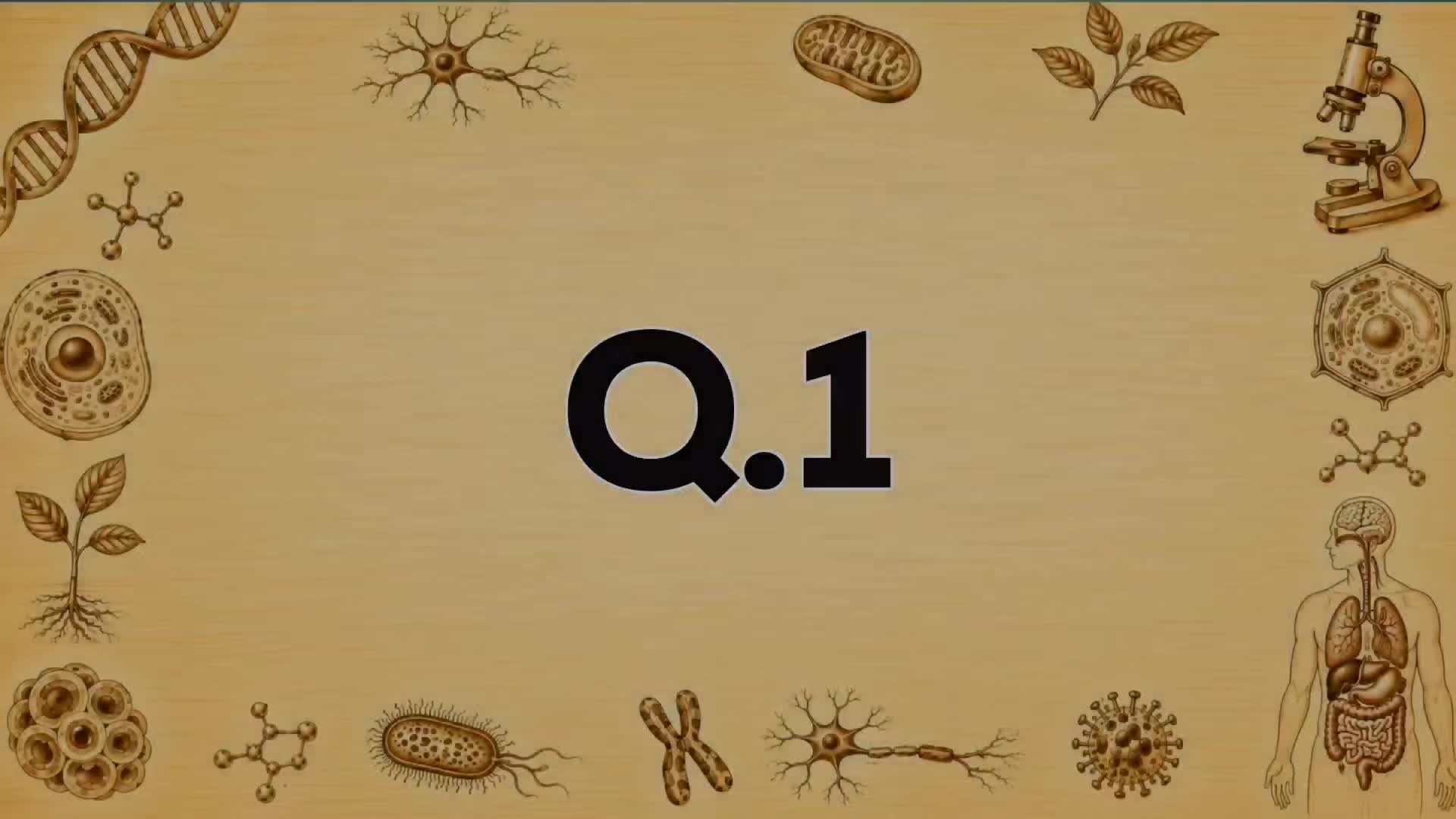@QUIZ TOK