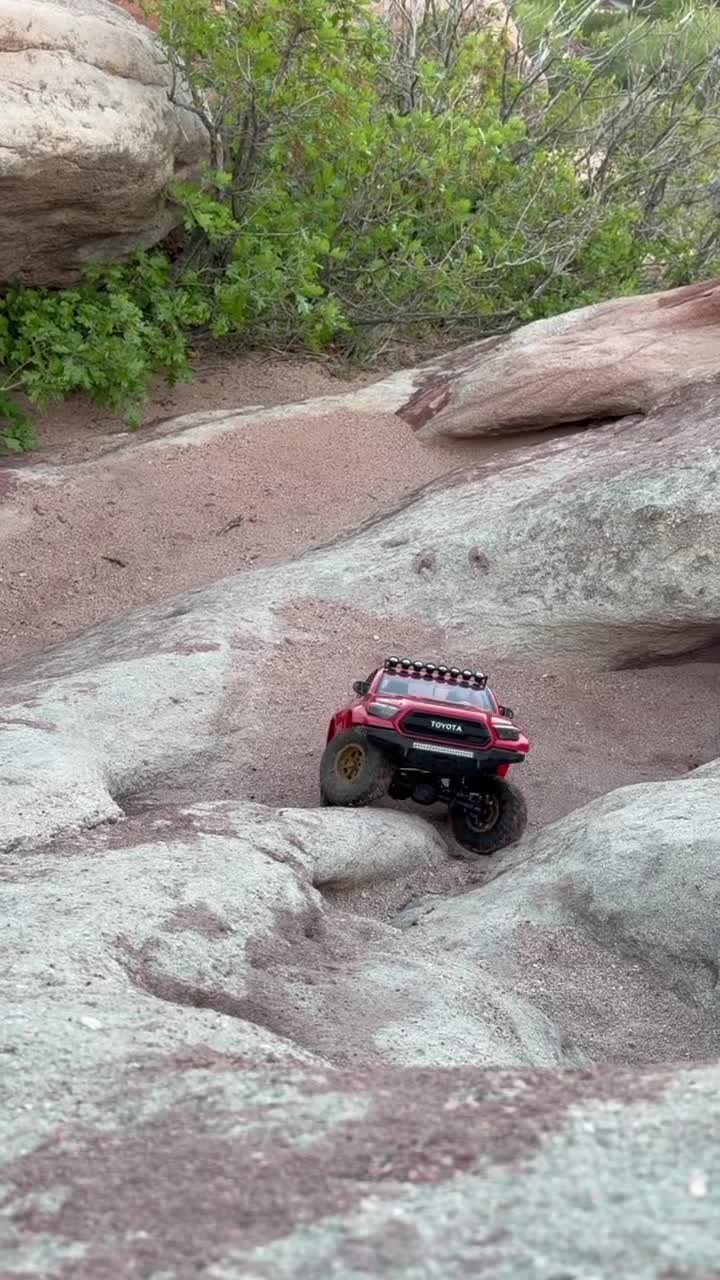 @LunchMoneyRC