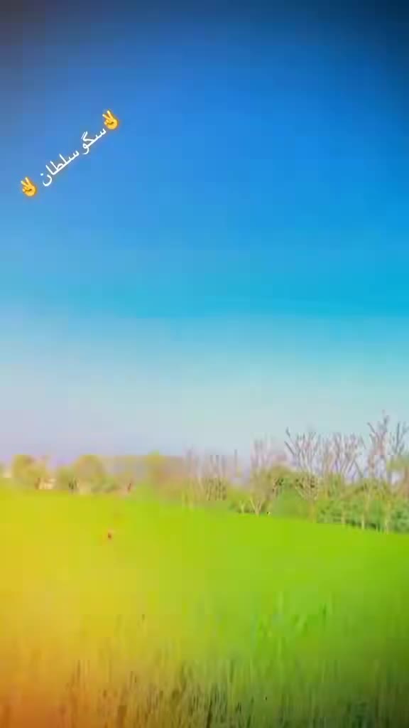 @اجمل سگو ♥️💔💜💯💘🖤💟💌💔