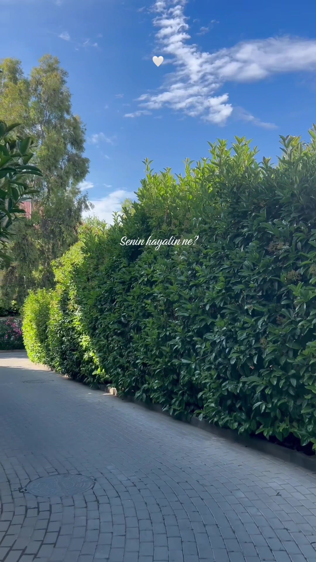 @𝐈𝐒𝐎𝐎