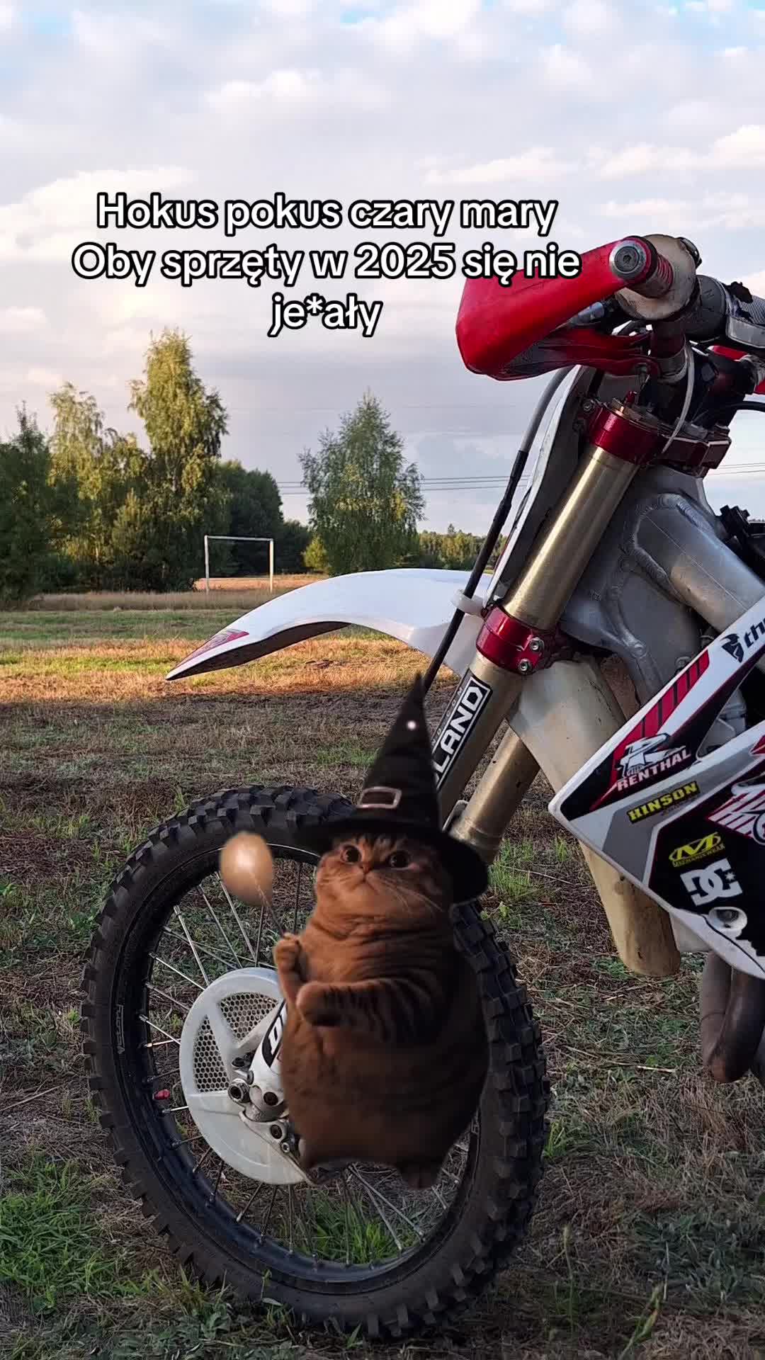 @⚡Szymański⚡