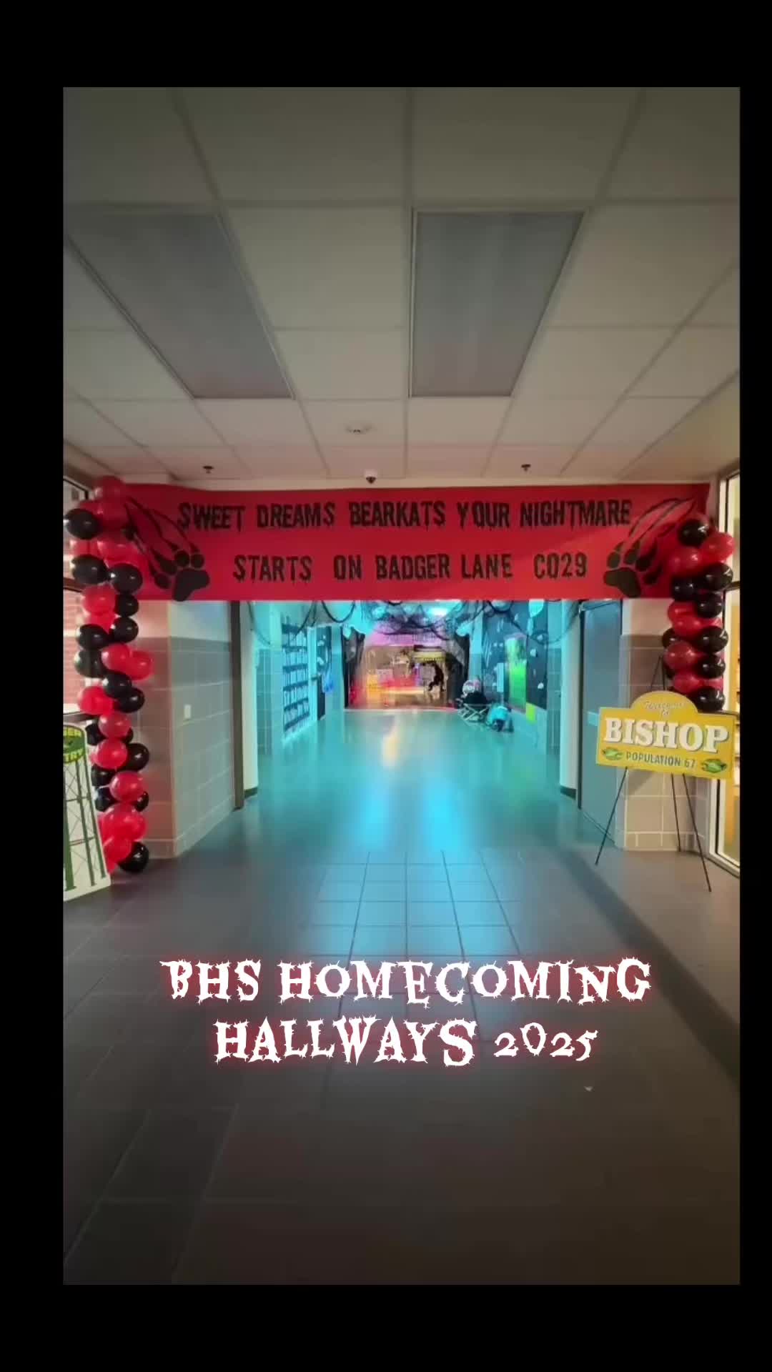 @Csqvl