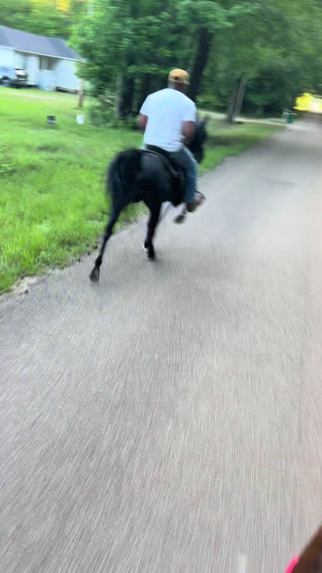 @sayyCamm🐎🤠