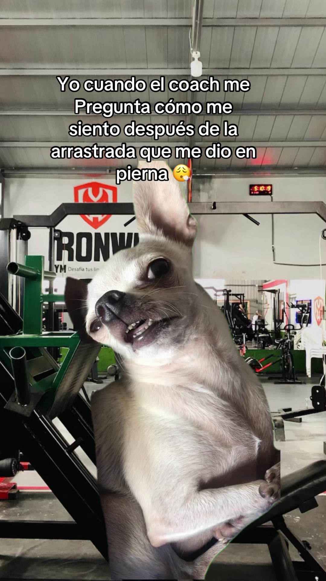 @IRONWIL_GYM