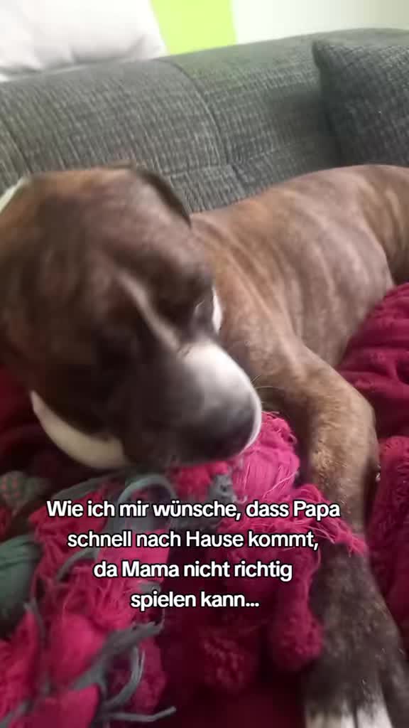 @Sandra & Hades