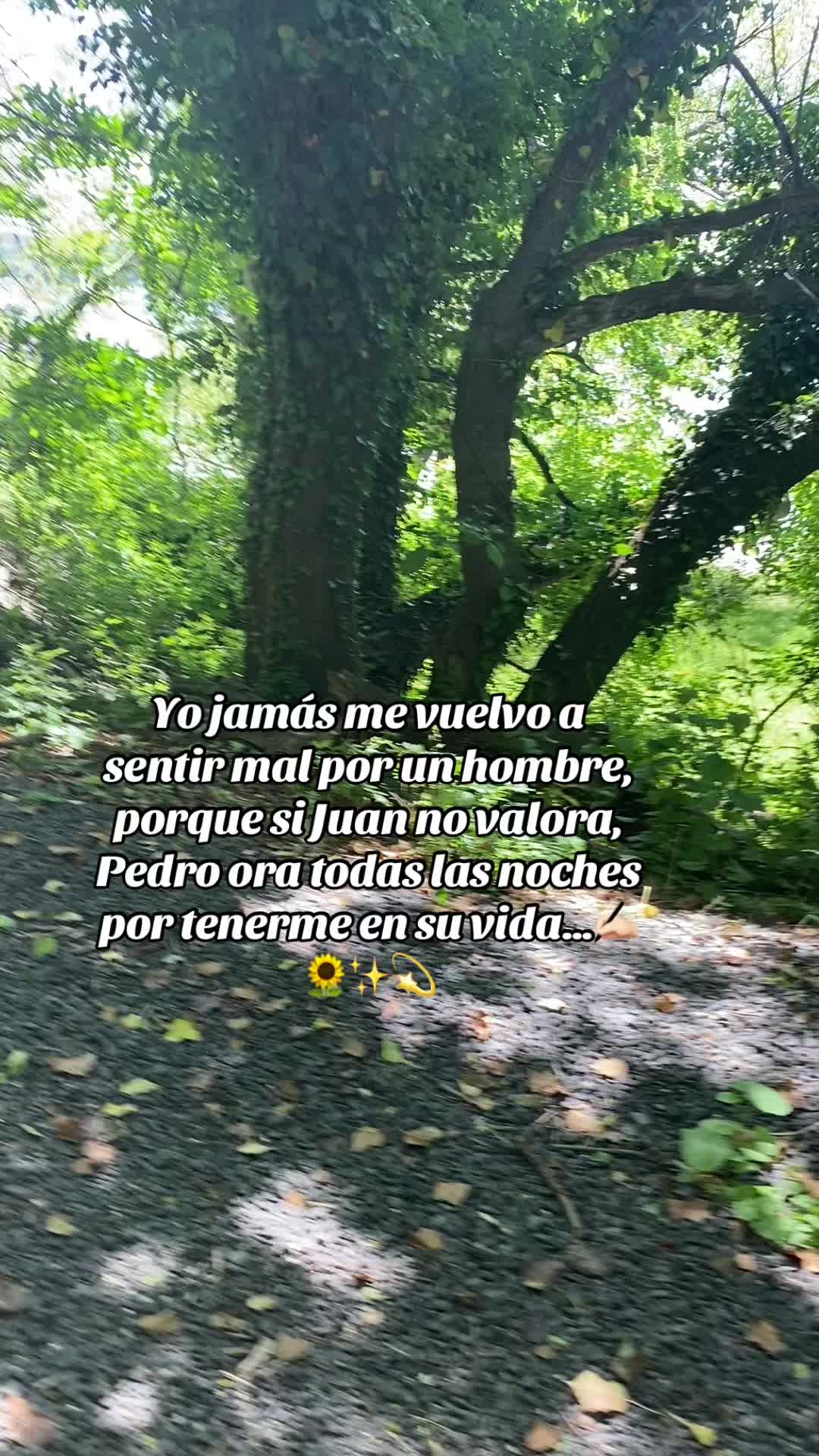 @💛Bonita_Girasol91