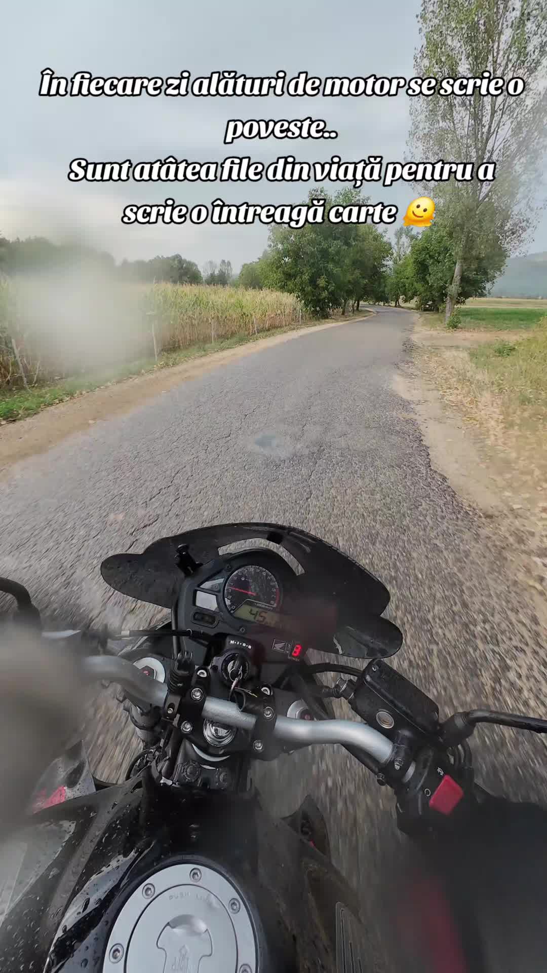 @🏍𝗠ǻ𝒓𝐤๏🏍