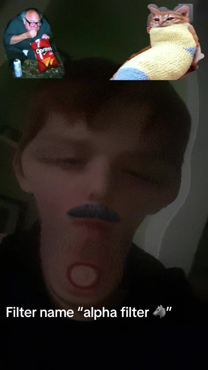 @Gingersnapdragon