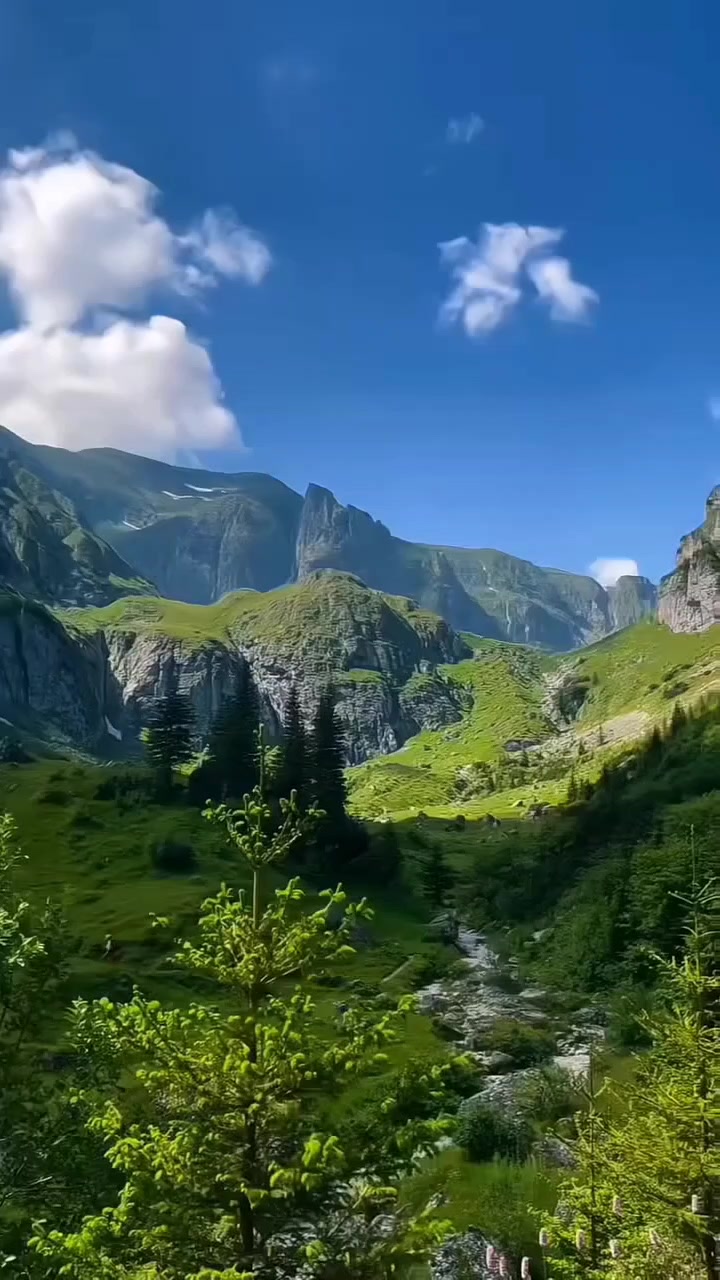 @Lionghoaho