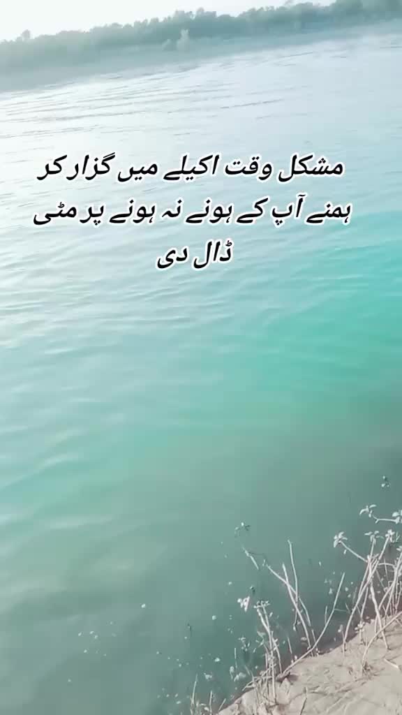 @jani jani