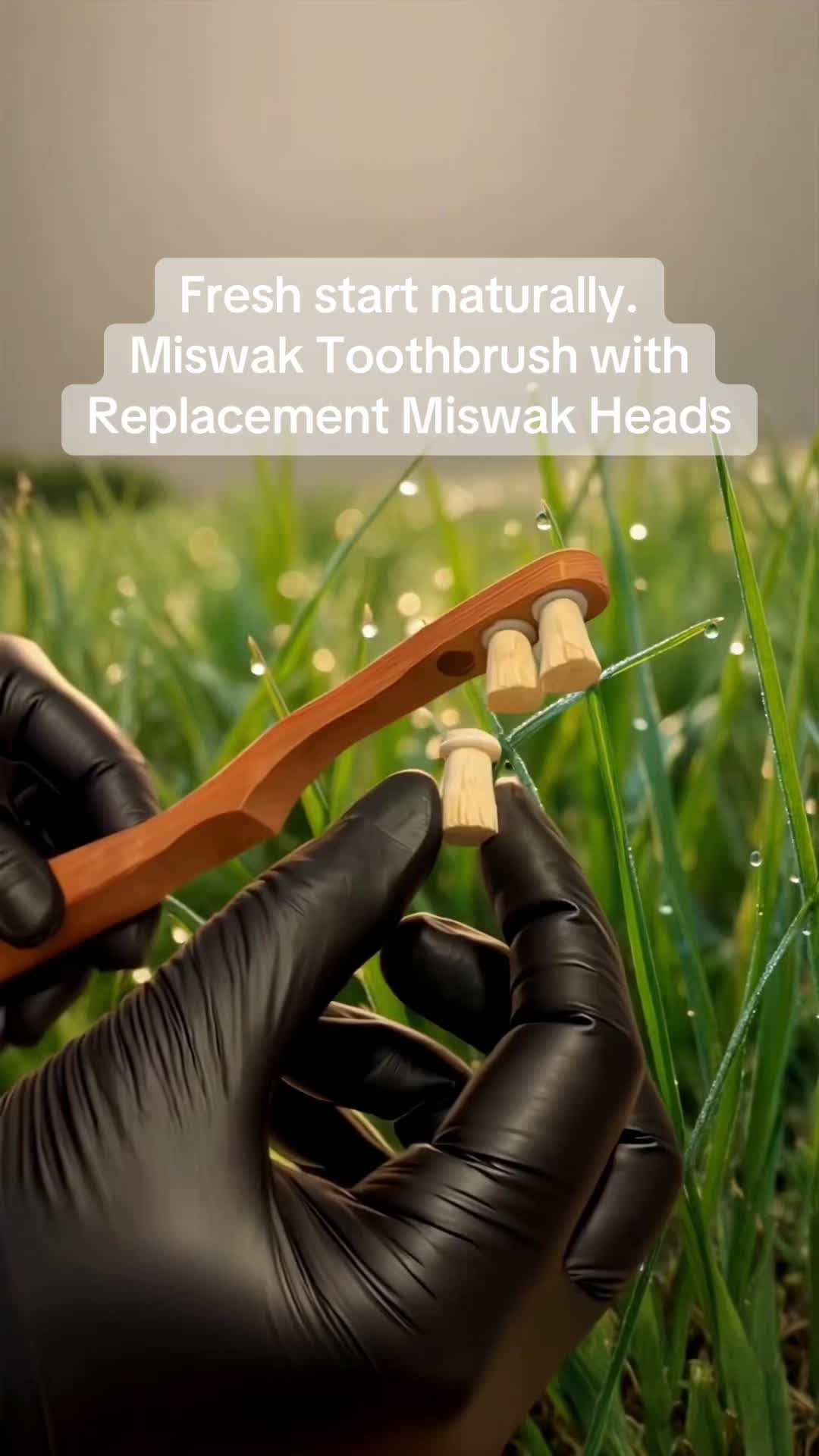 @toothwak