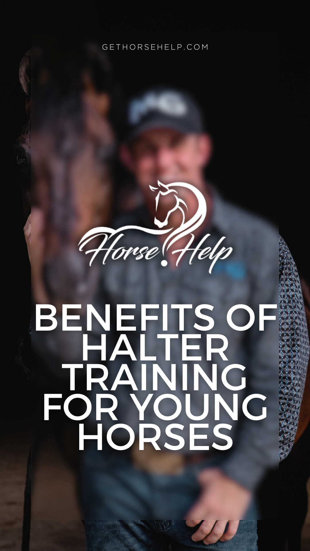 @Horse Help