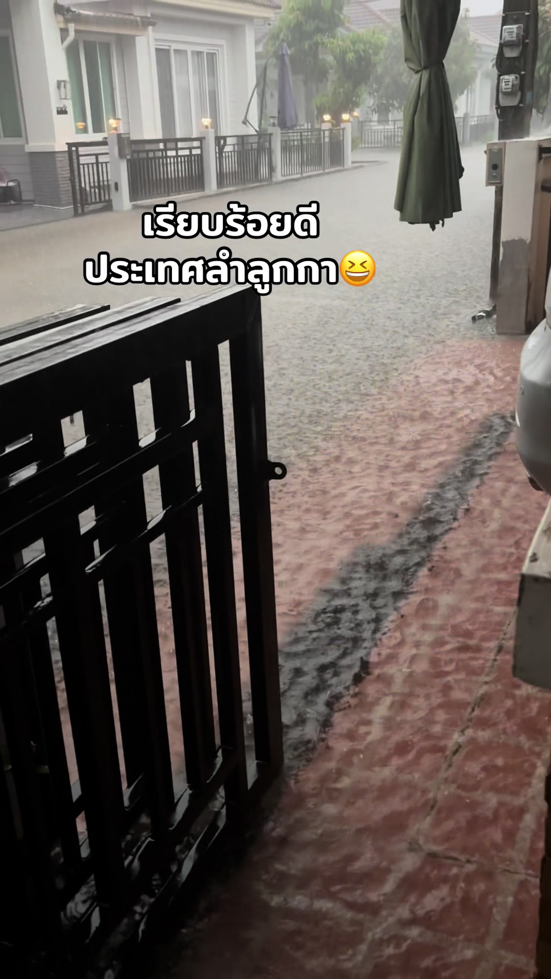 @ฮักที่ให้มาคึมีหญ้าคาติดมานำ