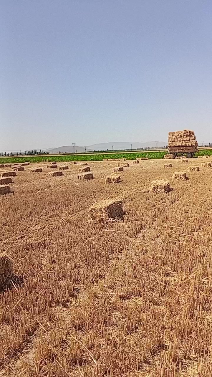 @Hakan Güzel