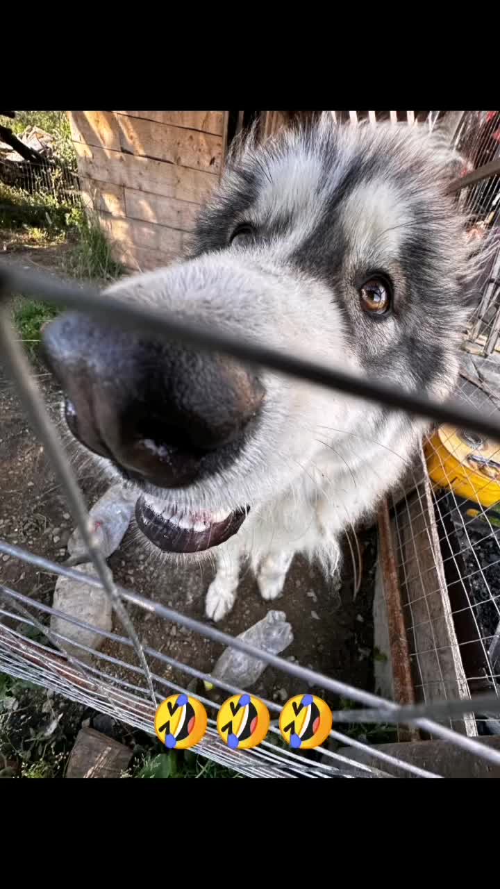 @Сергей