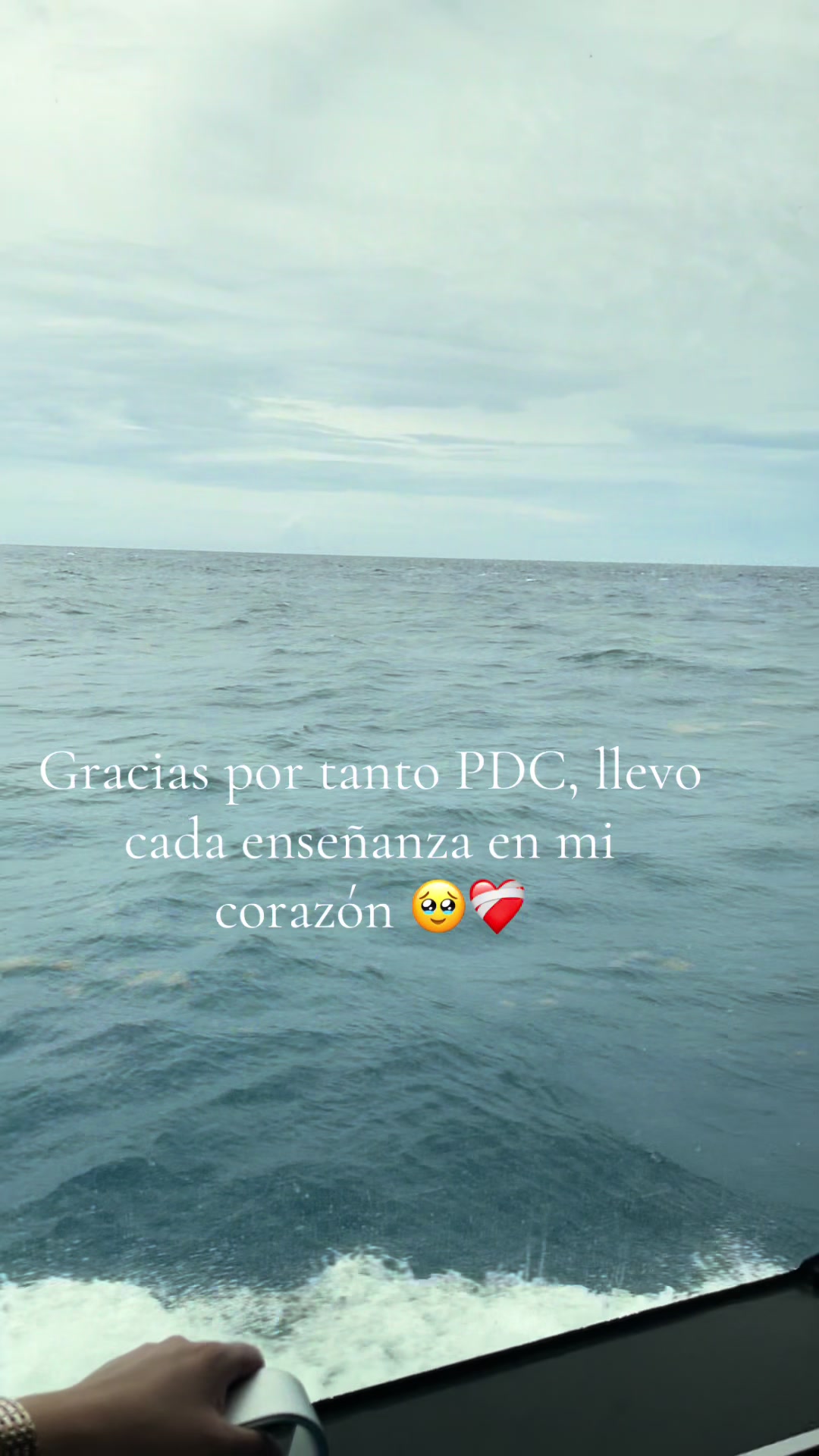 @Fernanda🌪️