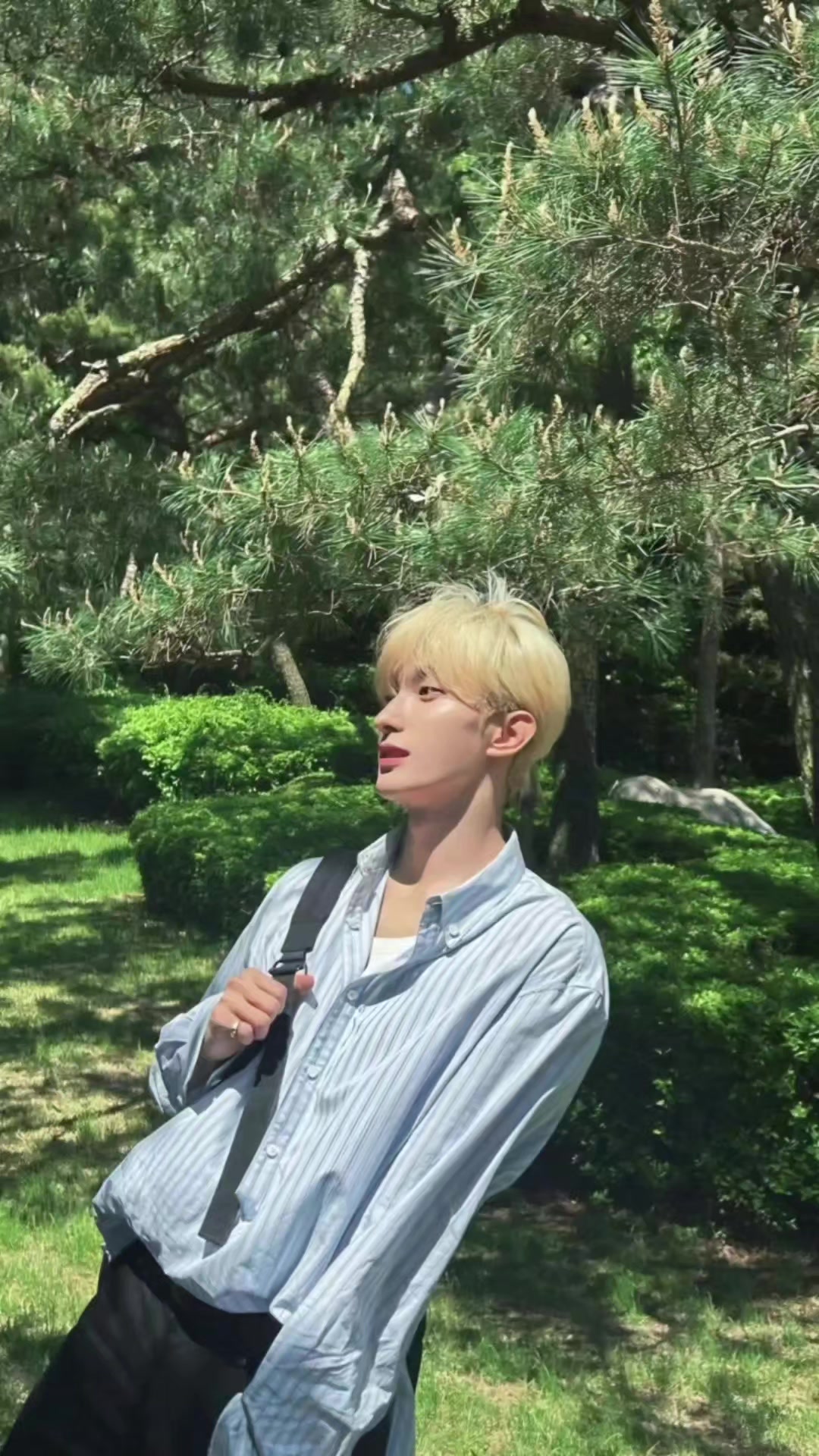 @두쫑쿠