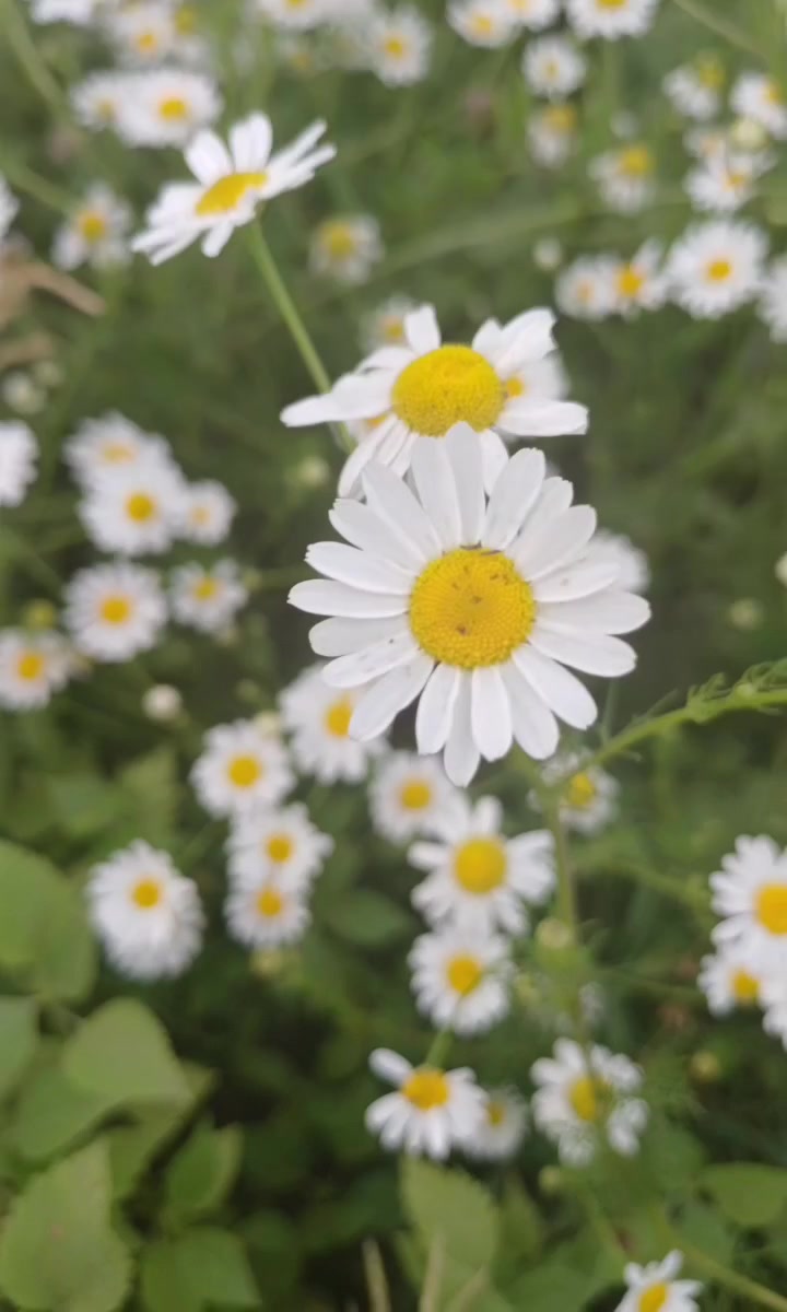 @🇰🇿🌺🌸Нᴀᴛᴀᴧья🌸Kz.16_ukg👋🤝