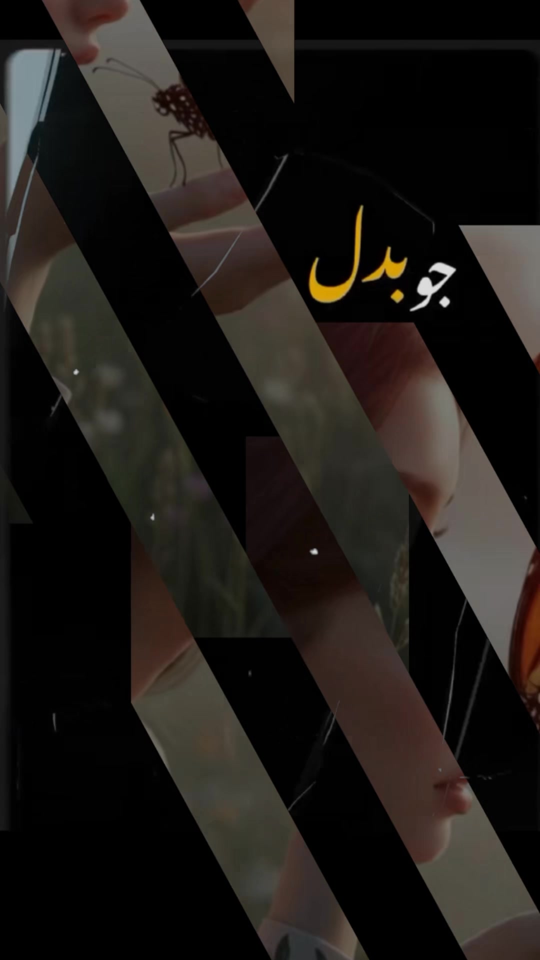 @Rimsha khan