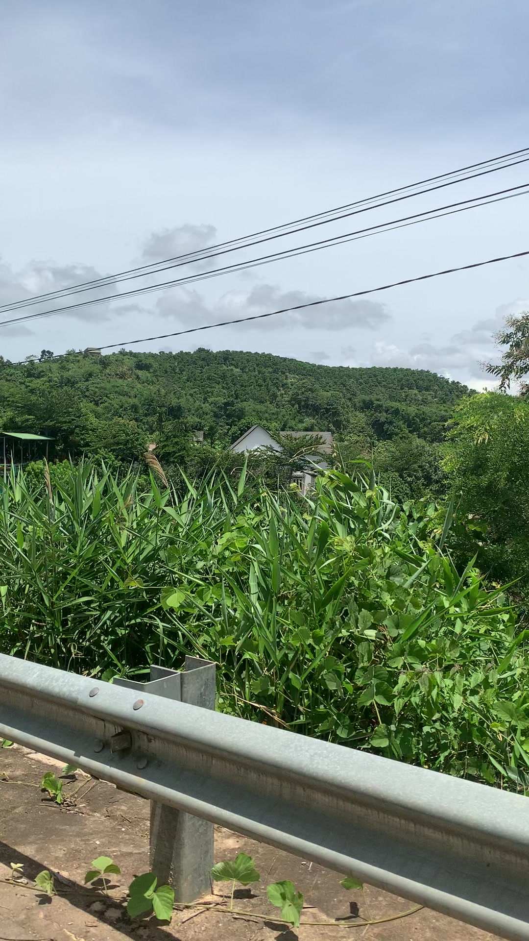 @Vũ Hải