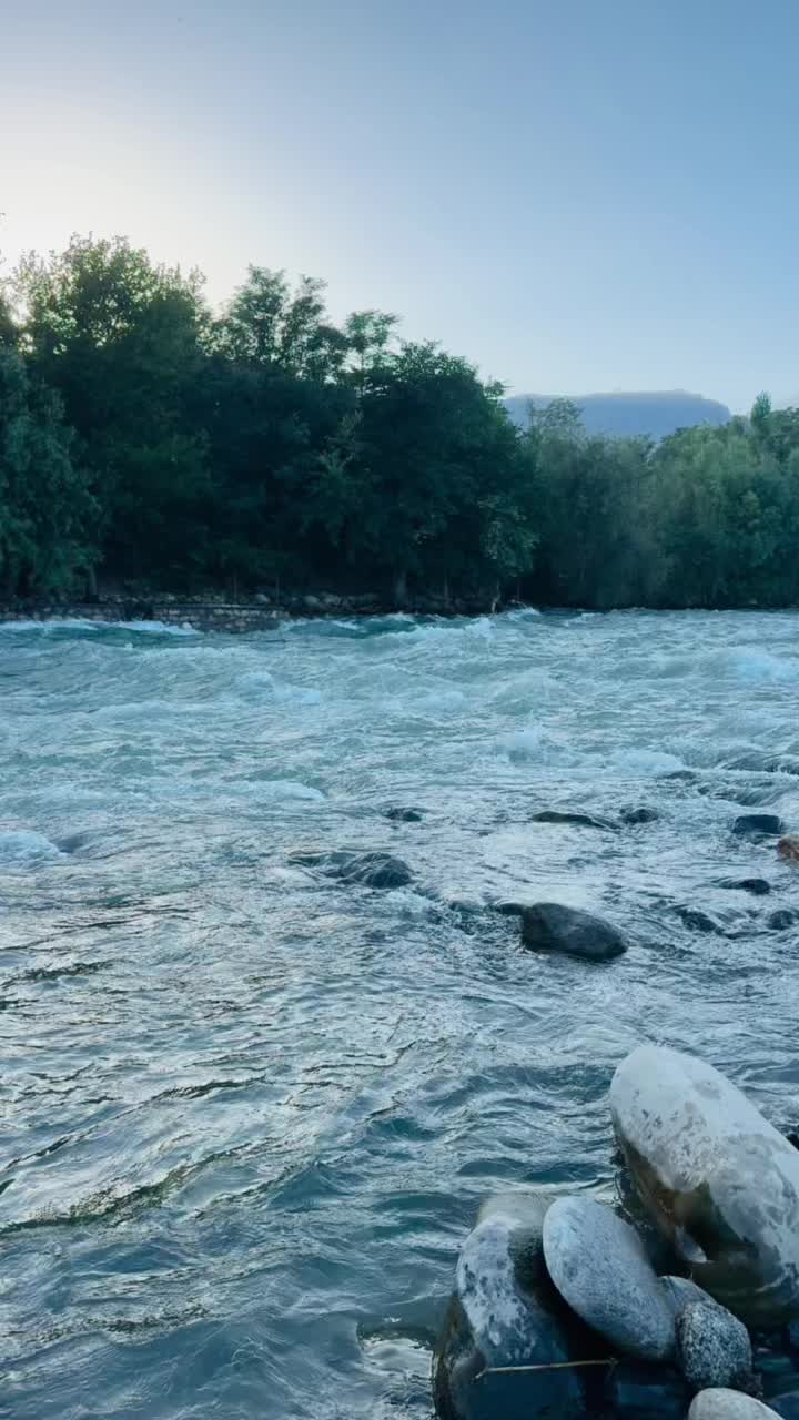 @hamdardraza