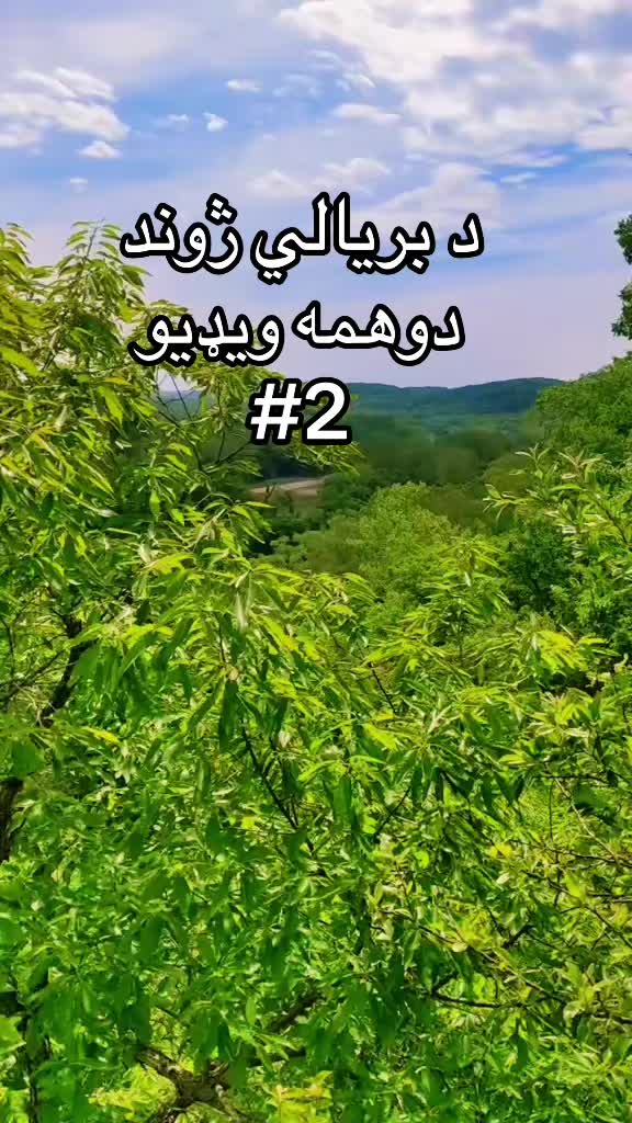 @Sardar 🇦🇫 🇺🇸🌎