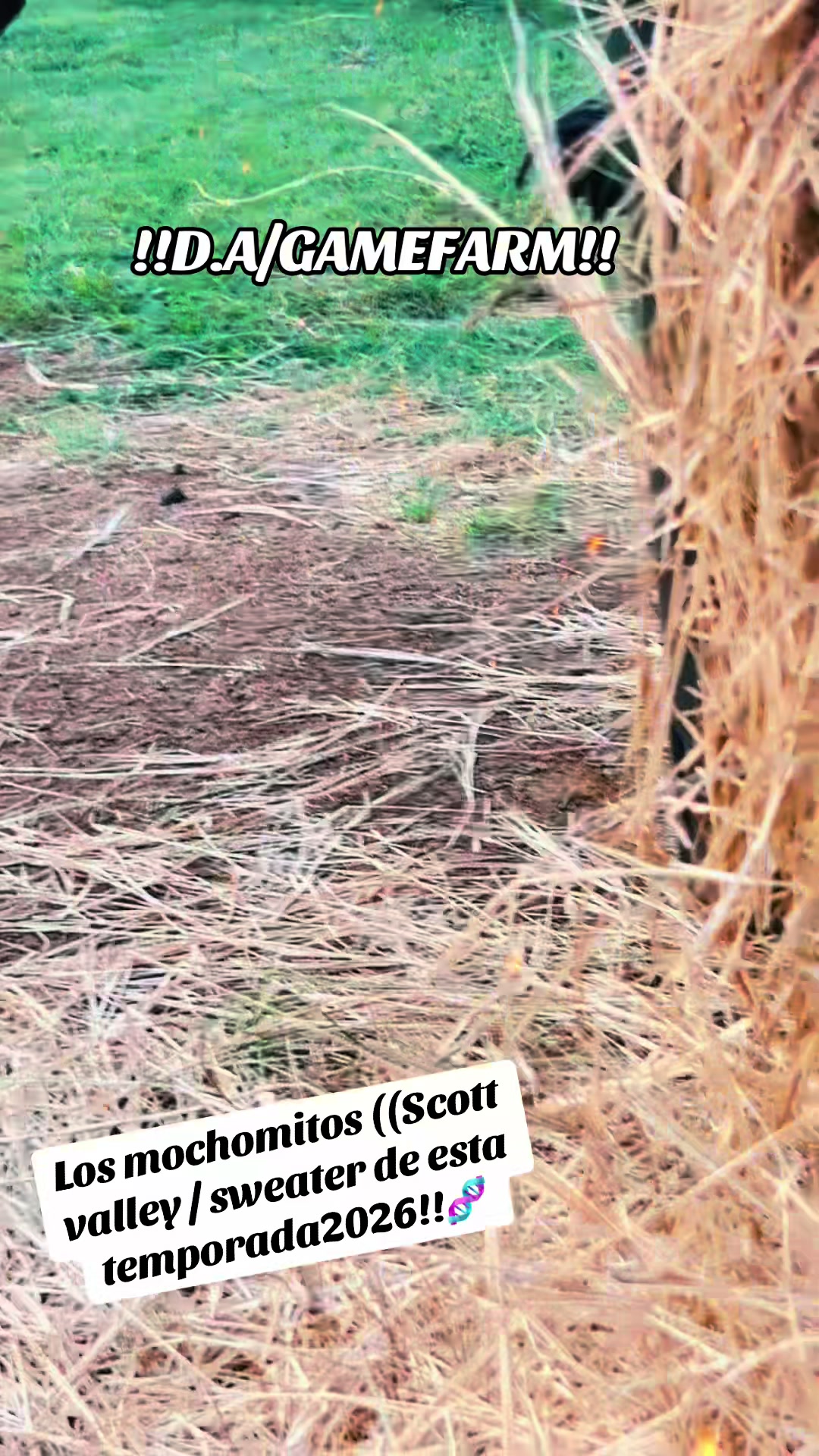 @DAgamefarm