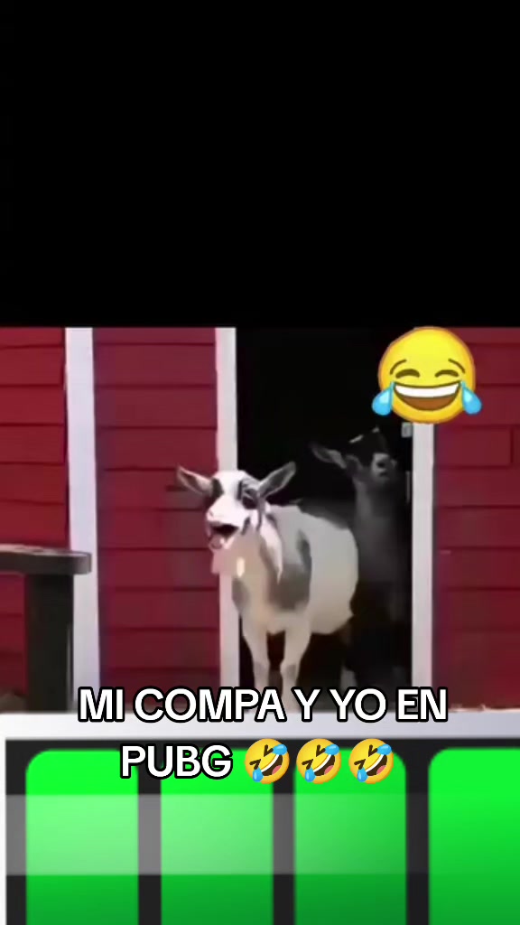 @LA VIDA ES UNA NOTA - SIGUEME