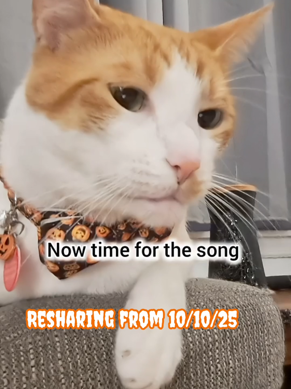 @Candice & Weasley