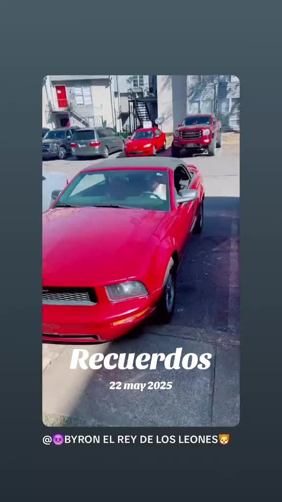 @🤴BYRON EL REY DE LOS LEONES🦁