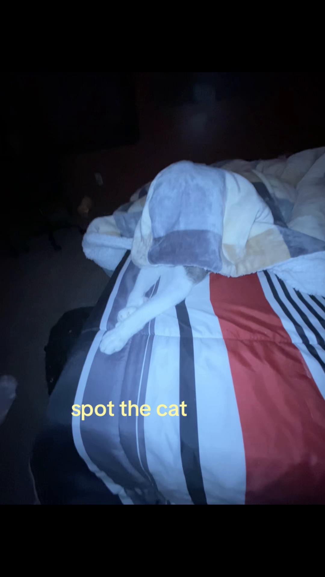 @Felix