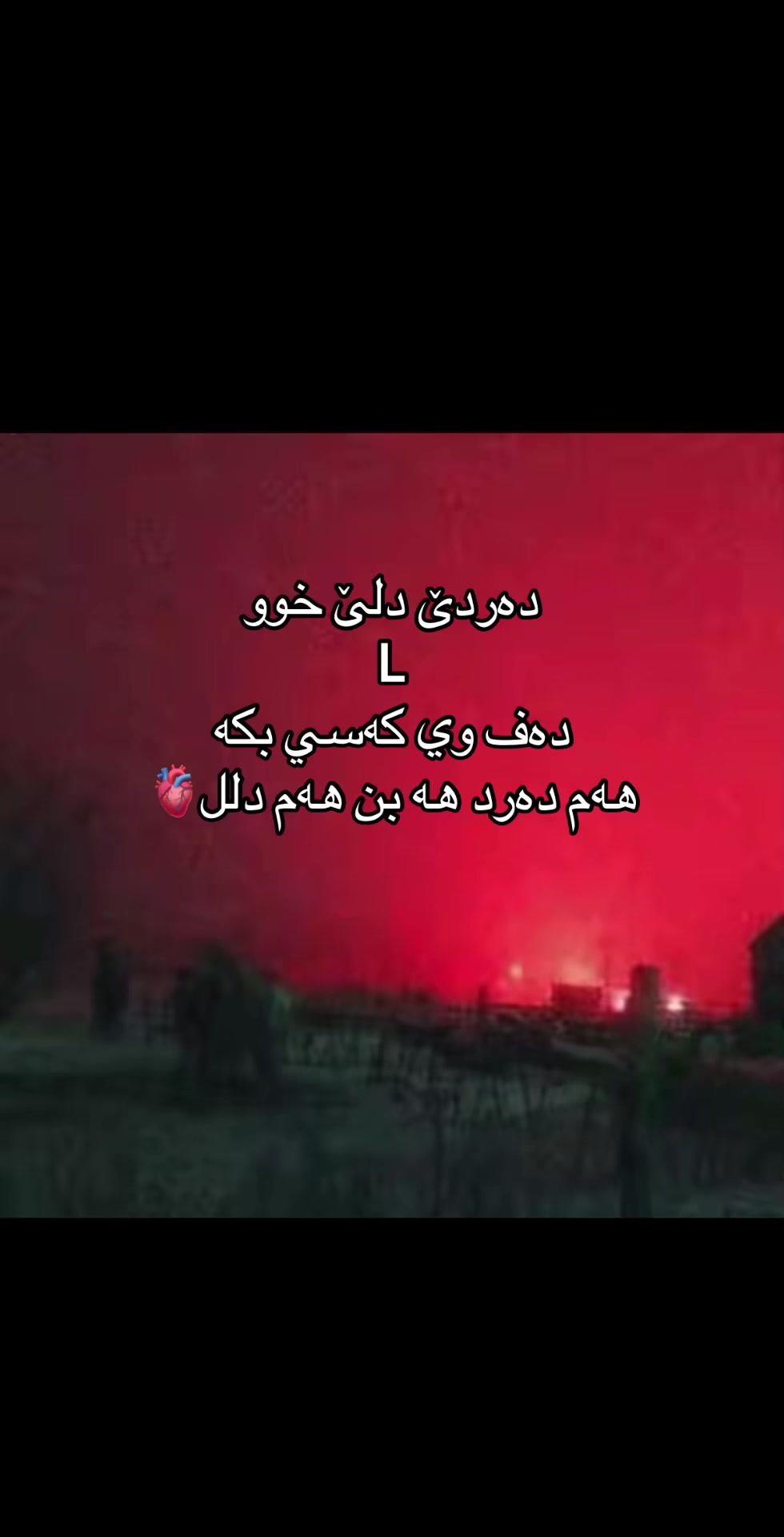 @LostInThought🔥