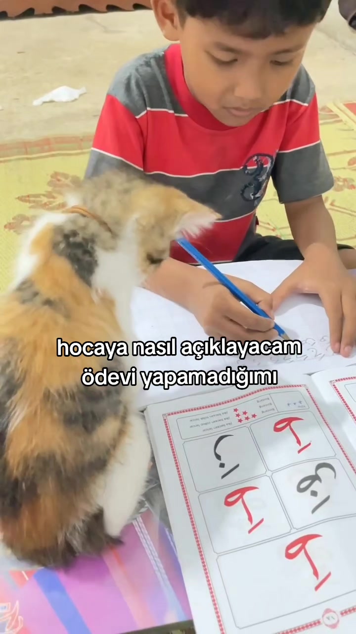 @rolland