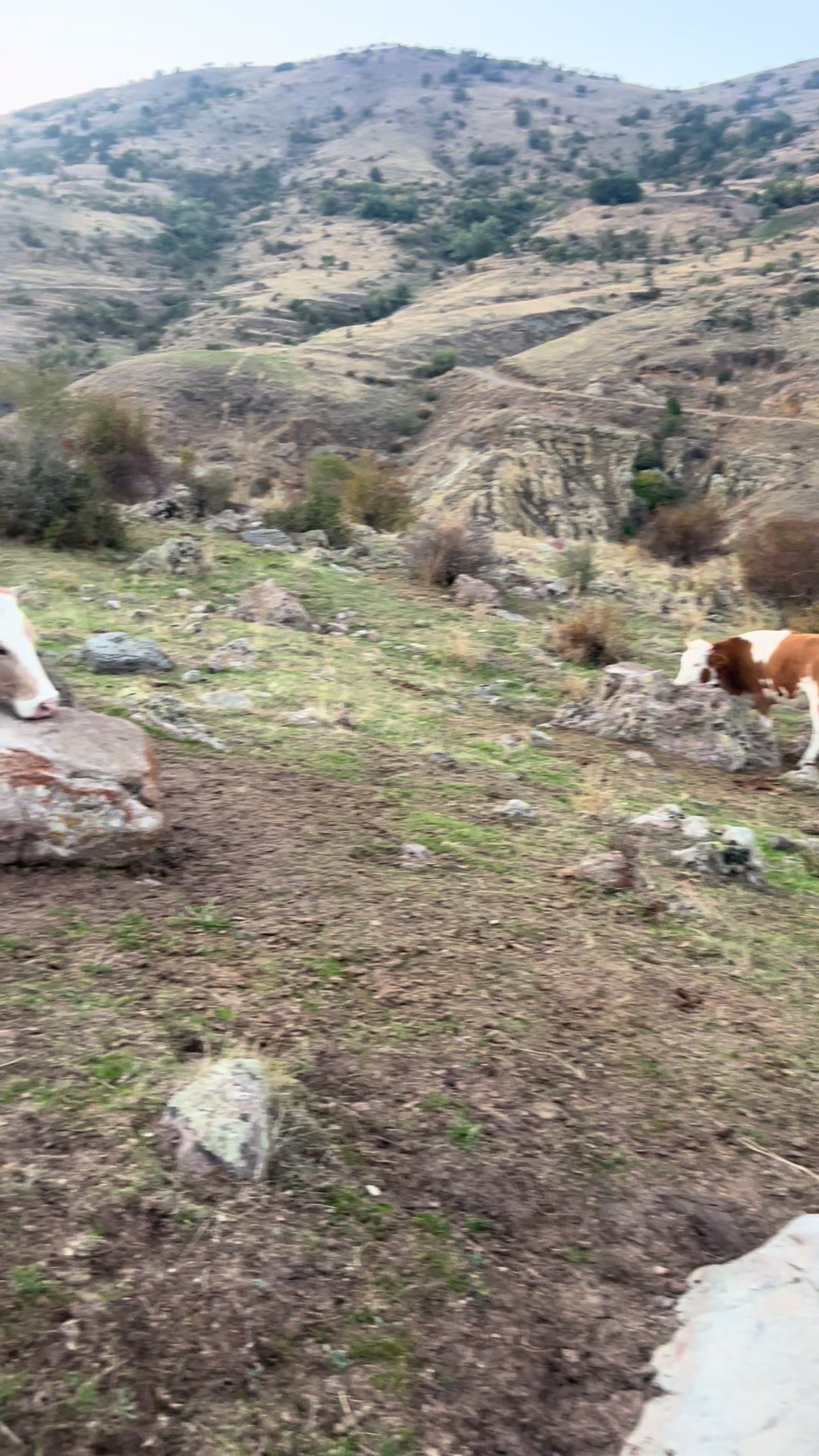 @GAZİ AKPINAR