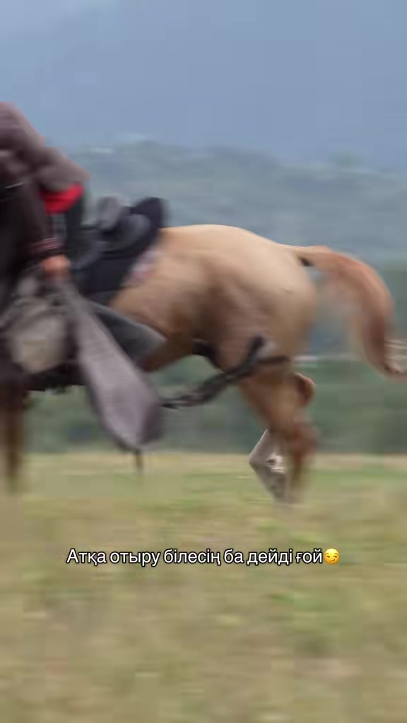 @akshatau_horses