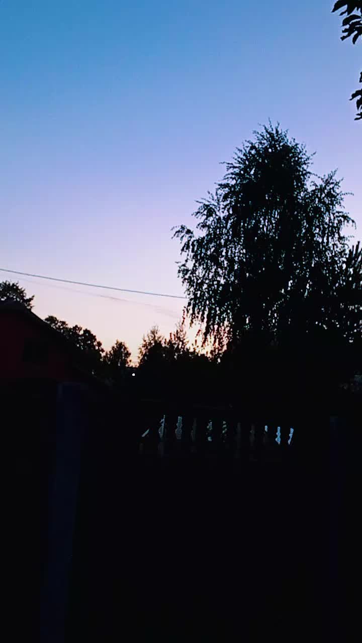 @Alena Alieva🇦🇿🕸️